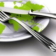 Curso de Cocina