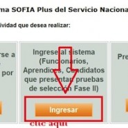 Sena 2013 Segunda convocatoria