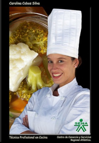 Gastronomía en Sena Virtual
