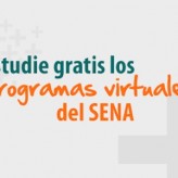 Sena apoya la inclusión Virtual