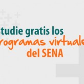 Decisiones a nivel Gerencial curso Sena
