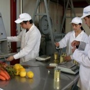 Procesamiento de alimentos